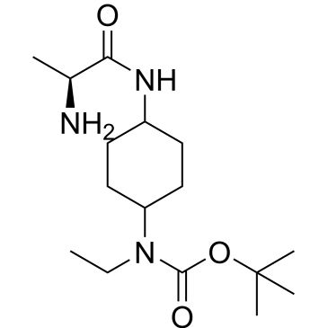 CS-0704637
