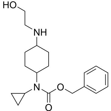 CS-0704819