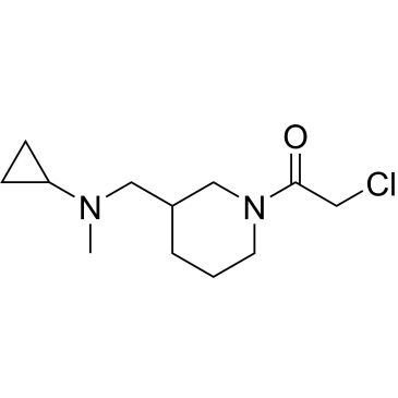 CS-0705987