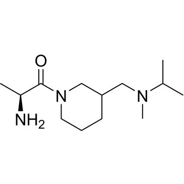 CS-0706056