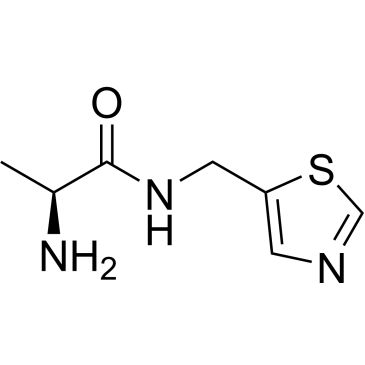 CS-0707075