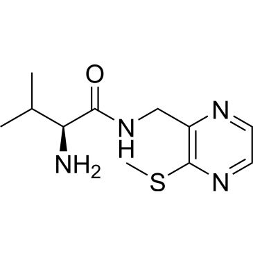 CS-0707219