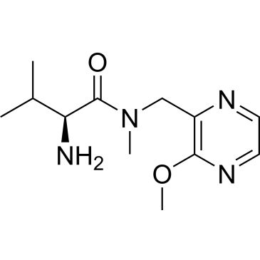 CS-0707228