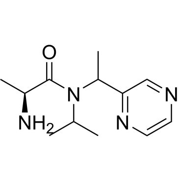 CS-0707241