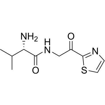 CS-0707387
