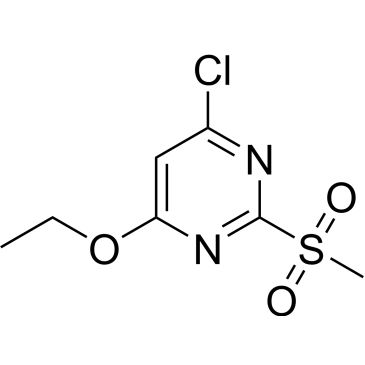 CS-0707831