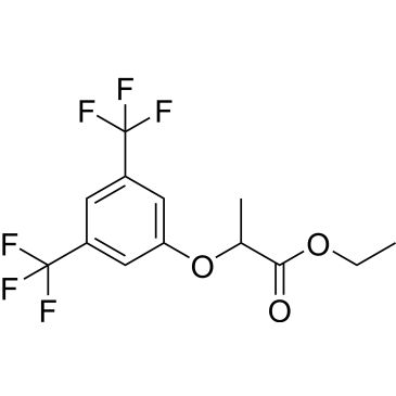 CS-0709986