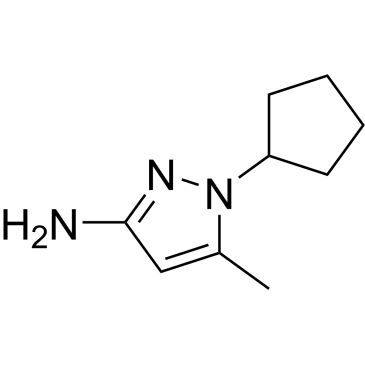 CS-0719204