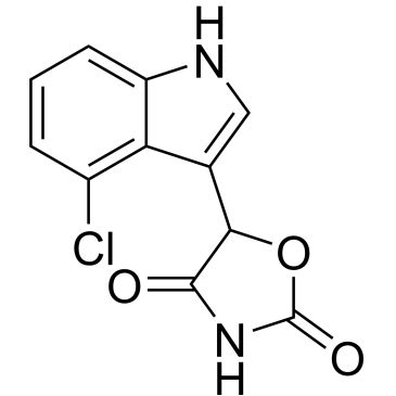 Img