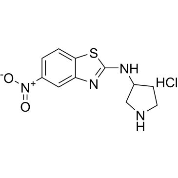 CS-0737074