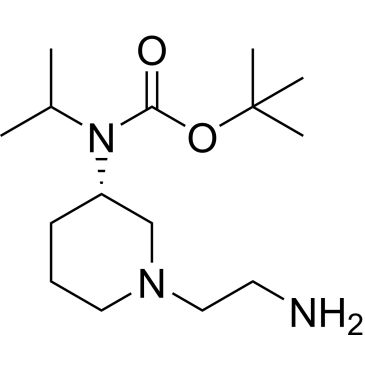 CS-0740203