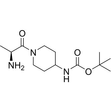 CS-0740246