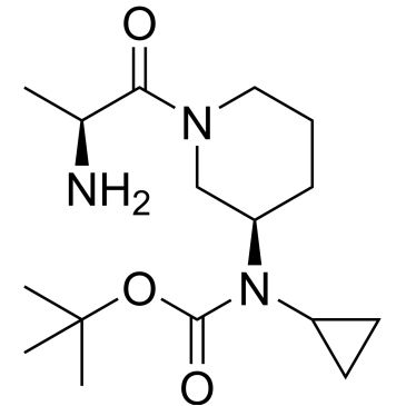 CS-0740260