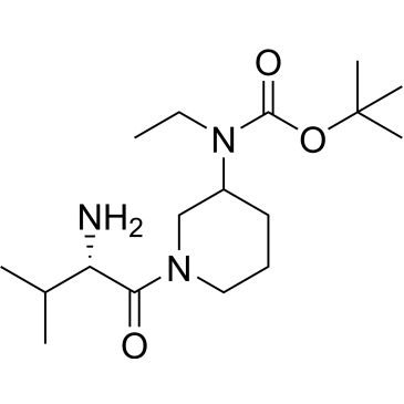 CS-0740271