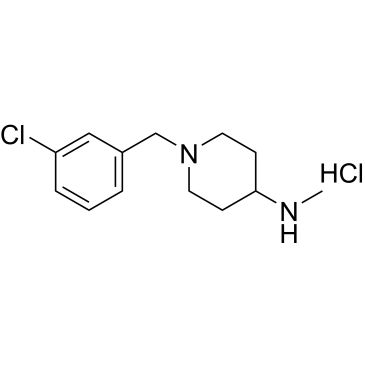 CS-0740737