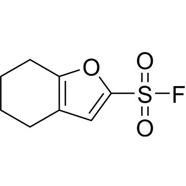 CS-0748482