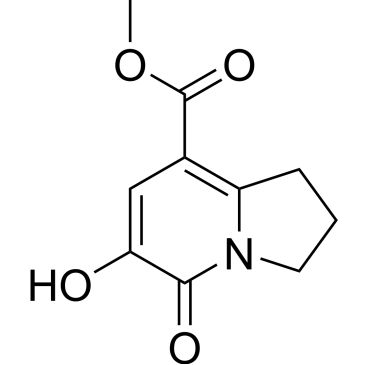 Img