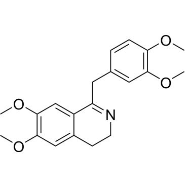 CS-0768899