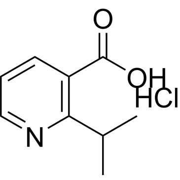 CS-0779599