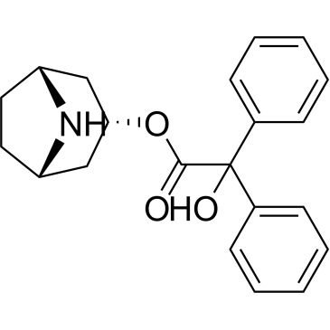 CS-0786856
