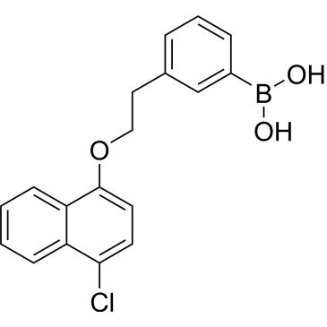 CS-0804960