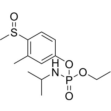 CS-0810105