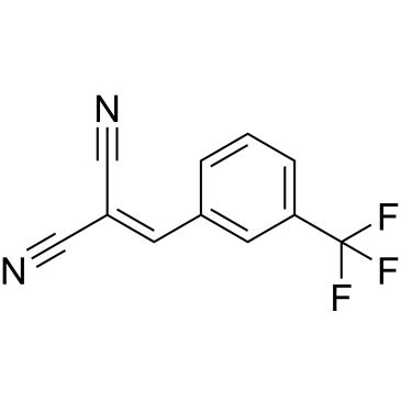 CS-0876379
