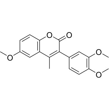 CS-0877804