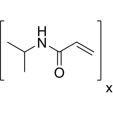 CS-0891513