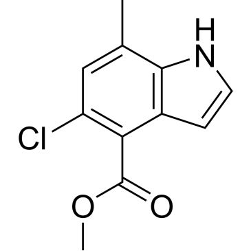 Img