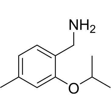 CS-0937569