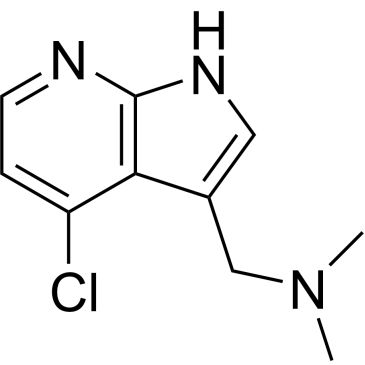 Img