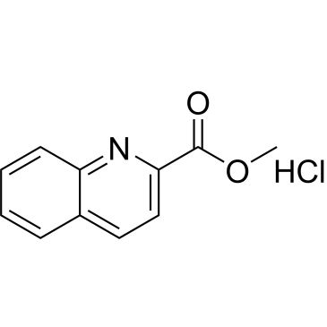 CS-0946638