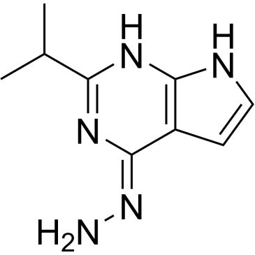 Img