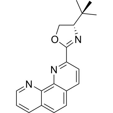 CS-0962302