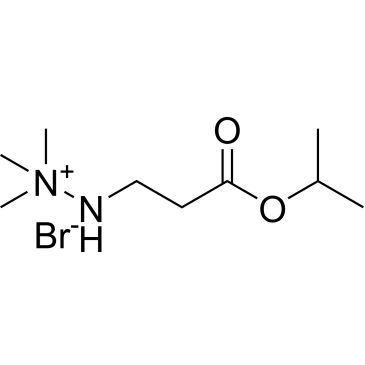 CS-1000388