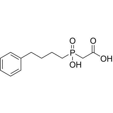 CS-1004988