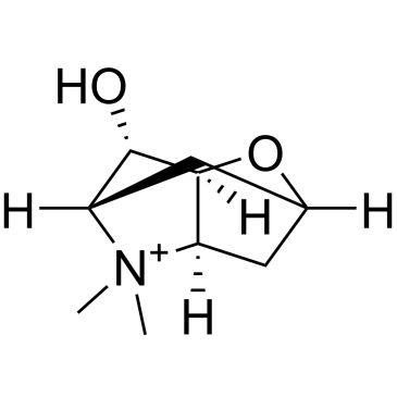 CS-1005002