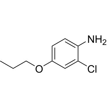 CS-1006293