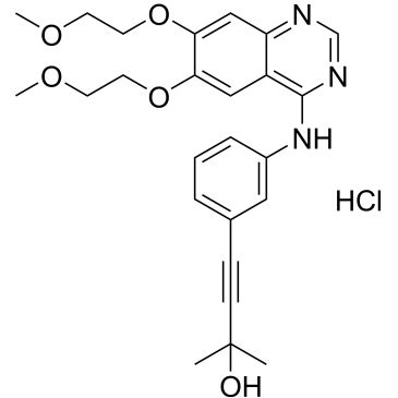 CS-1013856