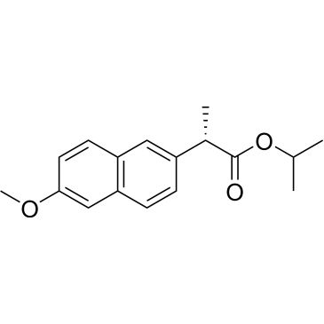 CS-1013881