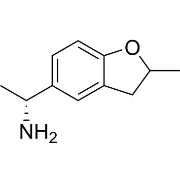 CS-1019338