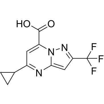 CS-1028904