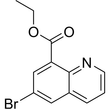 CS-1032631
