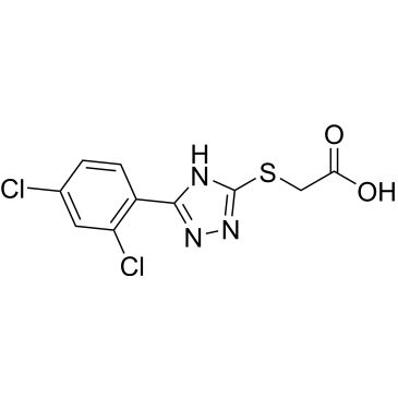 CS-1034039
