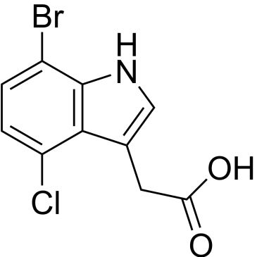 Img
