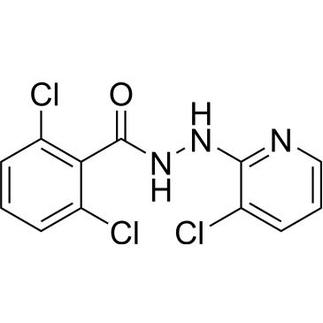 Img