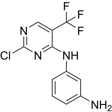 CS-1139956