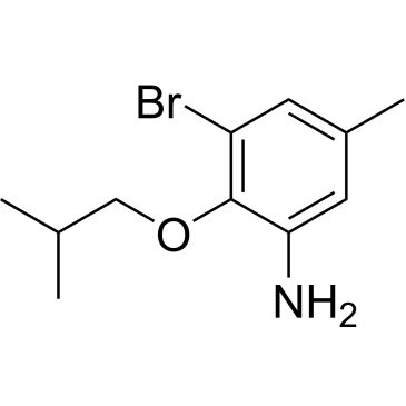 CS-1148593