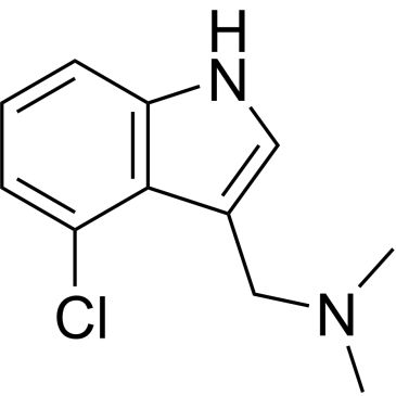 Img